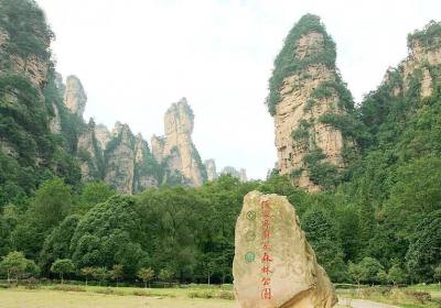 走湘西——張家界、鳳凰古城游記(一)