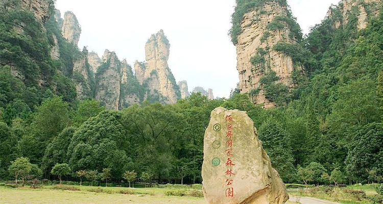 張家界國家森林公園 張家界國家森林公園